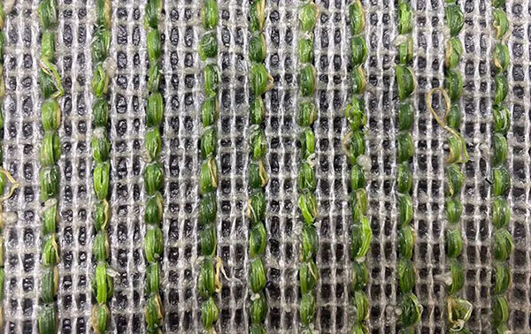 1666928798668834.jpg 2.jpg