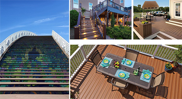 1666928905661512.jpg 5.jpg