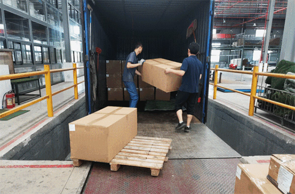 1685516036418254.jpg 3.jpg