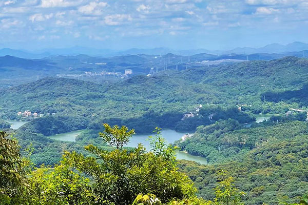 1689056496766863.jpg bb.jpg