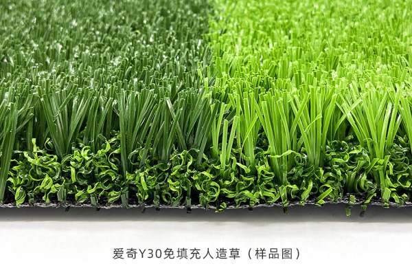 1689821588881552.jpg 1a.jpg